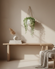 Hanging Ceramic Wall Planter
